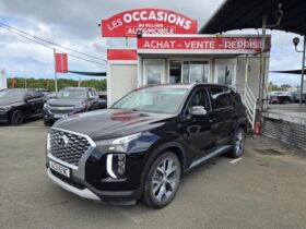 HYUNDAI/PALISADE – 443462NC