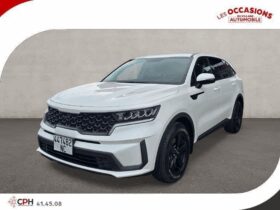 KIA/NEW SORENTO – 447482NC